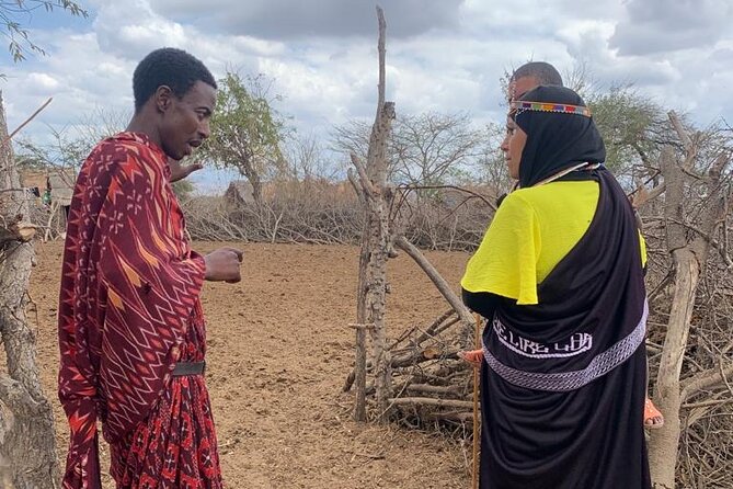 2 Days and 1 Night Mikumi Safari Private Tour - Meeting Maasai culture during a wildlife trip