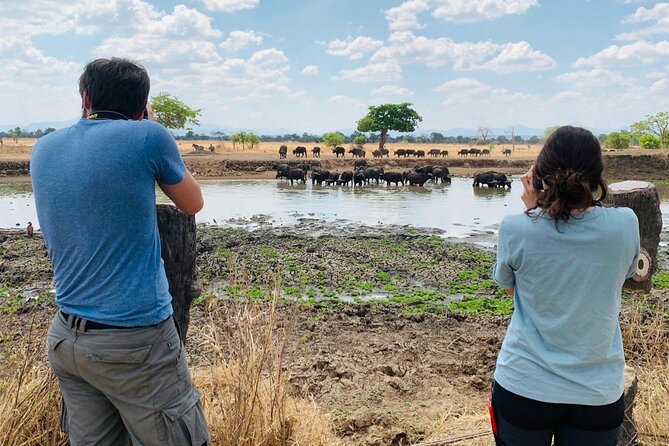 2 Days Best Safari to Mikumi National Park - Wildlife expectations at Mikumi