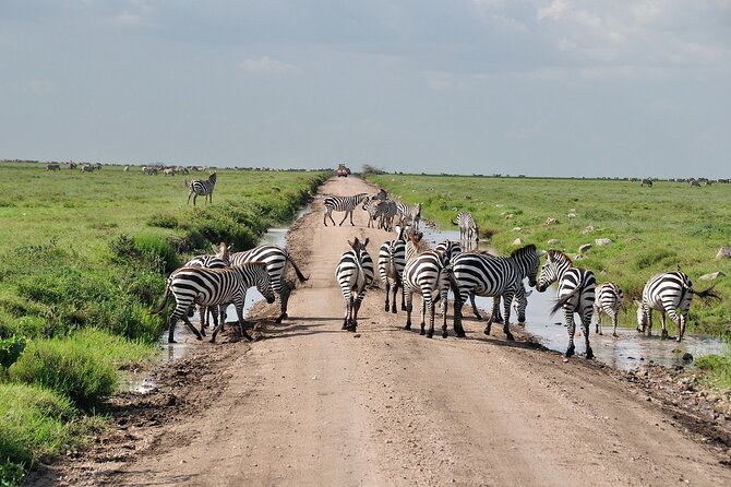 2 Days Camping Group Joining Tarangire Ngorongoro Crater Safari - Key points before you book