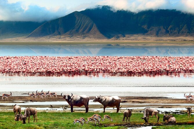 2 Days Camping Group Joining Tarangire Ngorongoro Crater Safari - Meals, water, and what the price covers