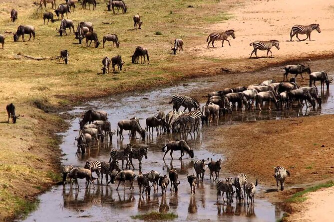2 Days Camping Group Joining Tarangire Ngorongoro Crater Safari - Timing, group size, and the real cost of a short safari