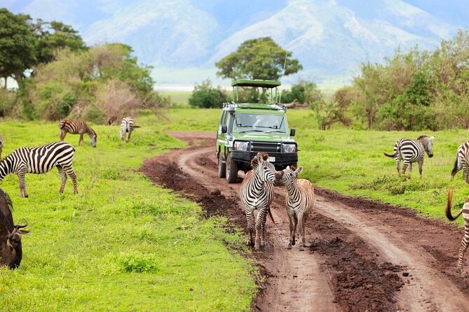 2 Days Camping Group Joining Tarangire Ngorongoro Crater Safari - Day one: Tarangire’s elephants and baobabs