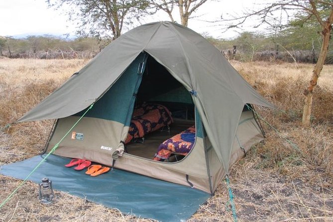 2 Days Camping Safari, Lake Manyara & Ngorongoro Crater - The guide can make or break a short safari