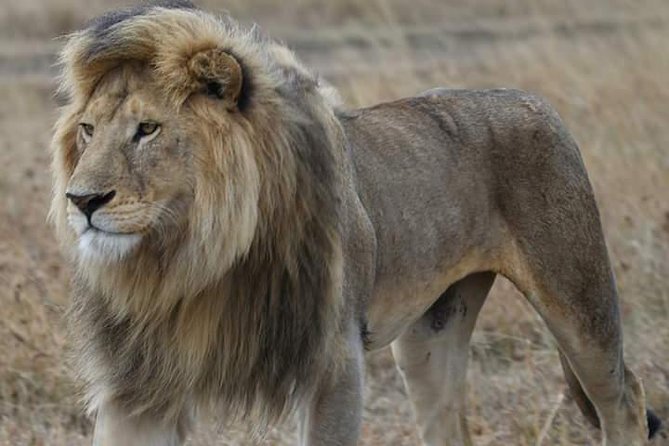 2 Days Camping Safari, Lake Manyara & Ngorongoro Crater - Lake Manyara: small park, changing scenery