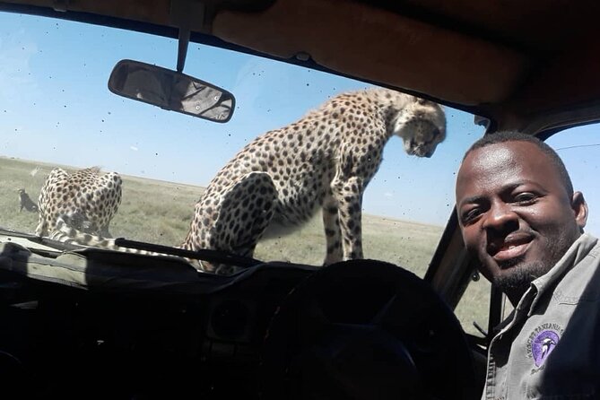2 Days Group Joining Camping Safari Tarangire Park and Ngorongoro Crater - Tarangire: elephants, baobabs, and a full first day