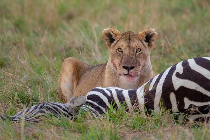 2 Days Joined Group Tarangire and Ngorongoro Crater National Park - Practical details that can save you trouble