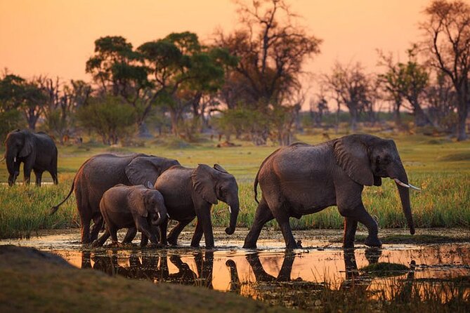 2 days Majestic Tanzania safari Tarangire and Ngorongoro Crater - Why these two parks work well together