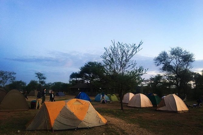 2 days Mid Range Safari in Ngorongoro and Tarangire Big 5 Parks - Meals, water, and what you still pay