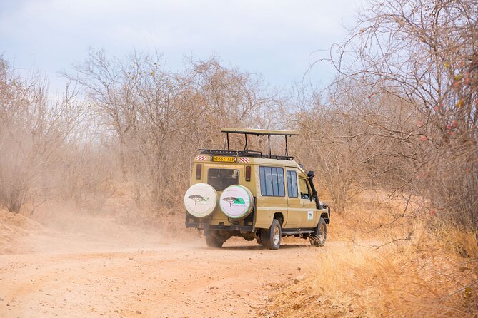 2 Days Mikumi Private Safari from Zanzibar with Accommodation - The early-morning drive on Day 2