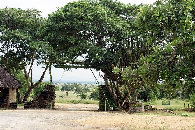 2 Days - Mikumi safari depart from Zanzibar or Dar es salaam - Why Mikumi works for a short safari