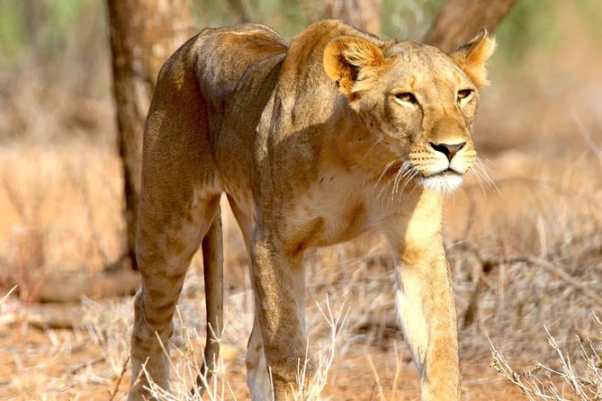 2 Days Morogoro- Selous Game Reserve(Nyerere national park) - Why this two-day safari is worth considering