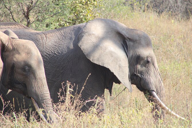 2 days private lodge safari - Why This Two-Day Route Works