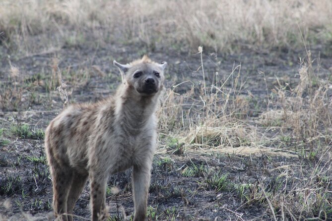 2 days private lodge safari - The 4x4 Vehicle and Daily Comfort