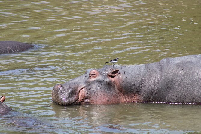 2 days private lodge safari - What the $1,600 Price Really Covers