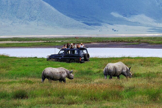 2 Days Private Midrange Safari from and back to Zanzibar - Lunch beside the hippo pool