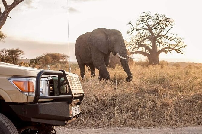 2 Days Private Midrange Safari from and back to Zanzibar - What private service really adds