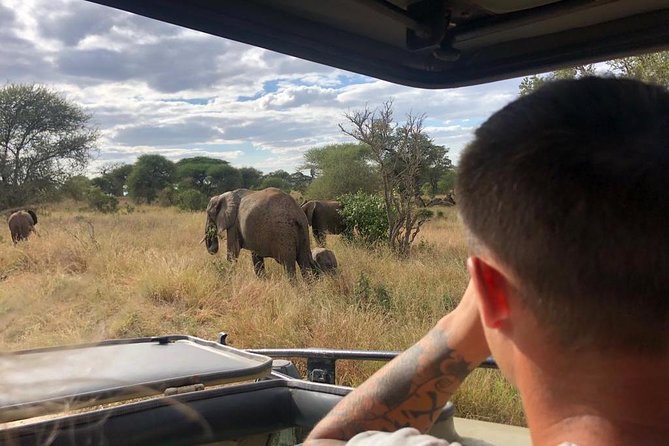 2-Days Private Midrange Safari; Tarangire & Ngorongoro Crater - Picnic lunch beside the hippo pool