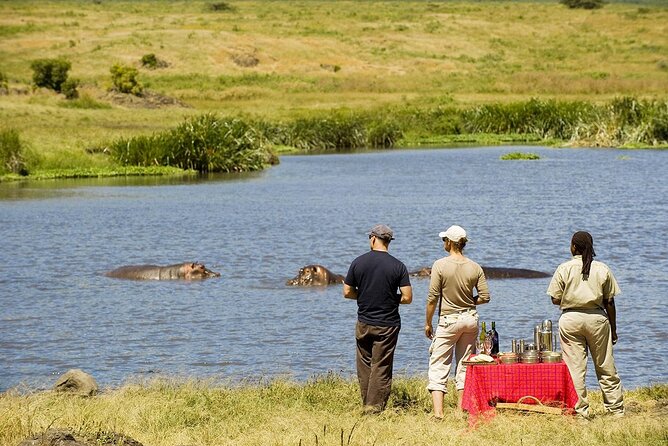 2-Days Private Midrange Safari; Tarangire & Ngorongoro Crater - A night at Jungle Pearl after the game drive
