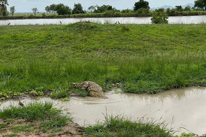 2 days private safari to Mikumi N park from Zanzibar or Dsm - Sunset at the hippo dam