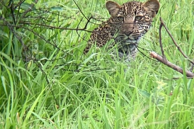 2 days private safari to Mikumi N park from Zanzibar or Dsm - Practical details that matter