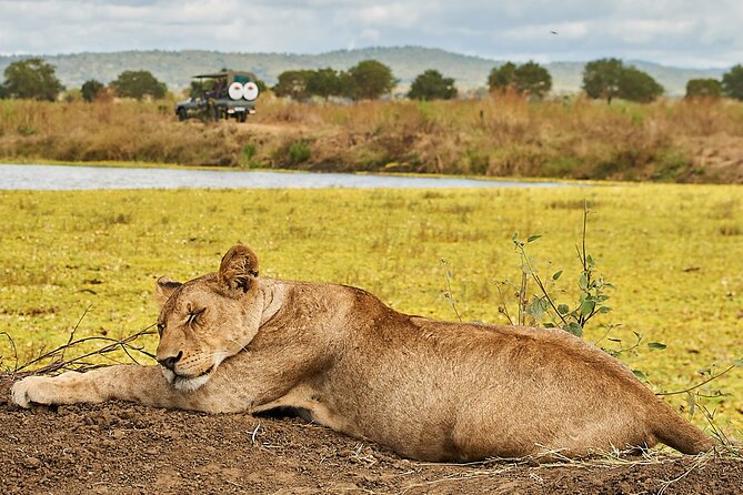 2 Days Private Safari Tour of Mikumi - Key points at a glance