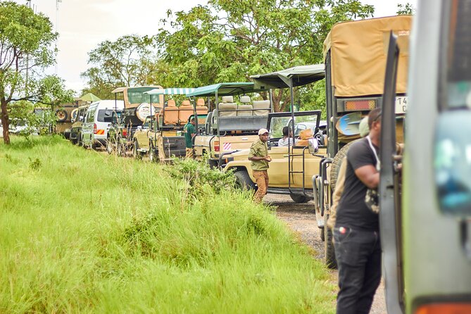 2 Days Private Safari Tour of Mikumi - Day one: the road to Mikumi and an evening game drive
