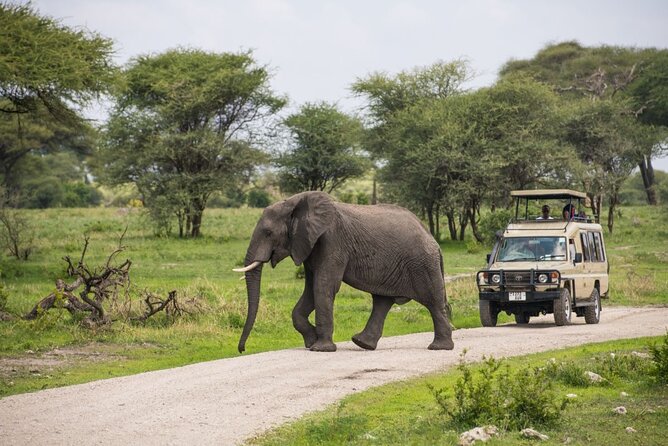 2 Days Ruaha National park - Key points to know before booking