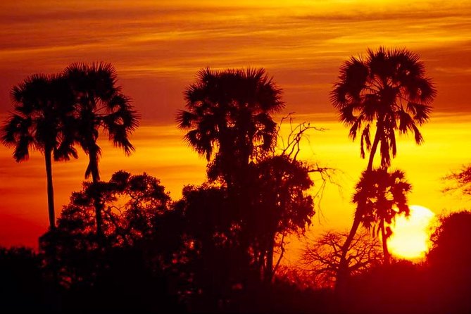 2 Days Ruaha National park - The early drive from Iringa sets the pace