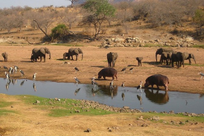 2 Days Ruaha National park - Overnight bandas keep you close to the park