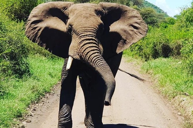 2 Days Saadani National Park From Zanzibar - Timing details worth confirming before you book