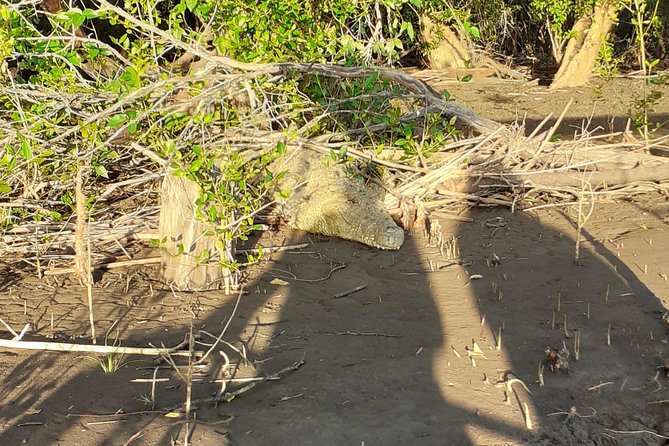 2 Days Saadani National Park From Zanzibar - Who should book this Saadani safari?