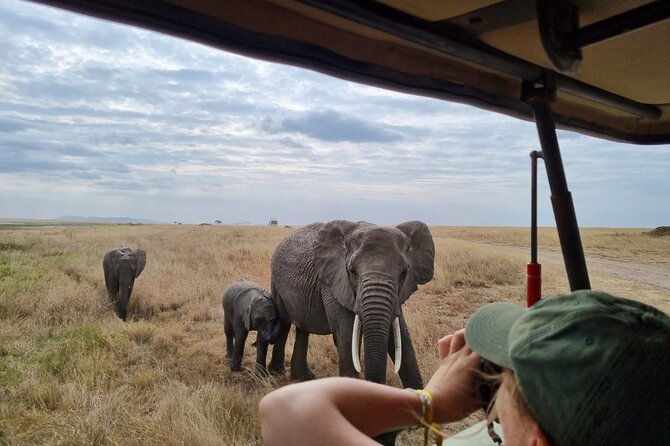 2 Days Safari in Tarangire and Ngorongoro Crater - Key points at a glance