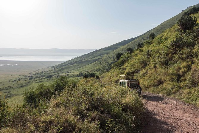 2-Days Safari Tarangire Park and Ngorongoro Crater - Day 1: Tarangire’s elephants and broad game-viewing range
