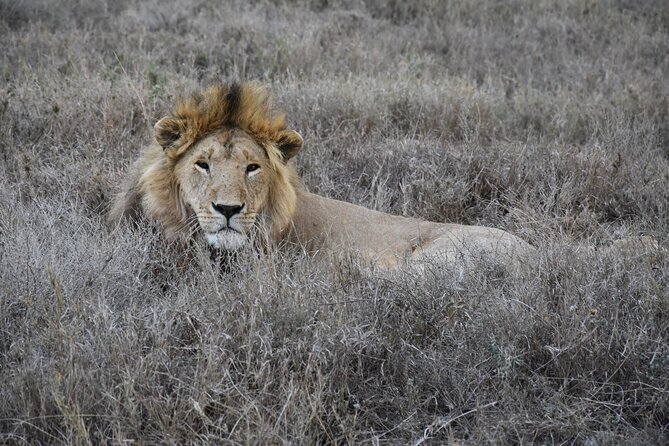 2 Days Safari through Tarangire NP and Lake Manyara NP - Lake Manyara: An Early Start for More Wildlife