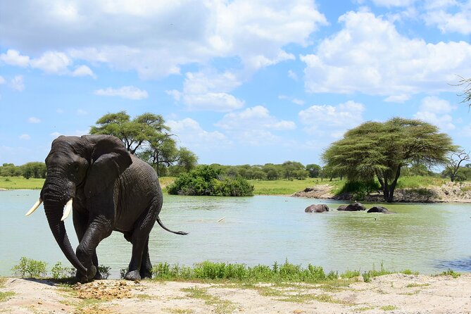 2 Days Safari through Tarangire NP and Lake Manyara NP - Mto wa Mbu Adds a Human Side