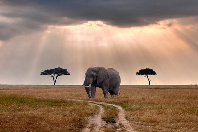 2 Days Selous Game Reserve Safari from Zanzibar or Dar es salaam - Why this short Nyerere safari works