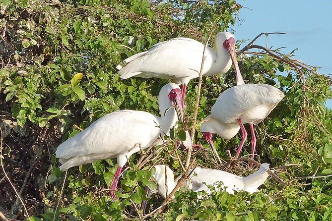 2 Days Selous Game Reserve Safari from Zanzibar or Dar es salaam - Overnight lodging: convenient, but keep expectations modest