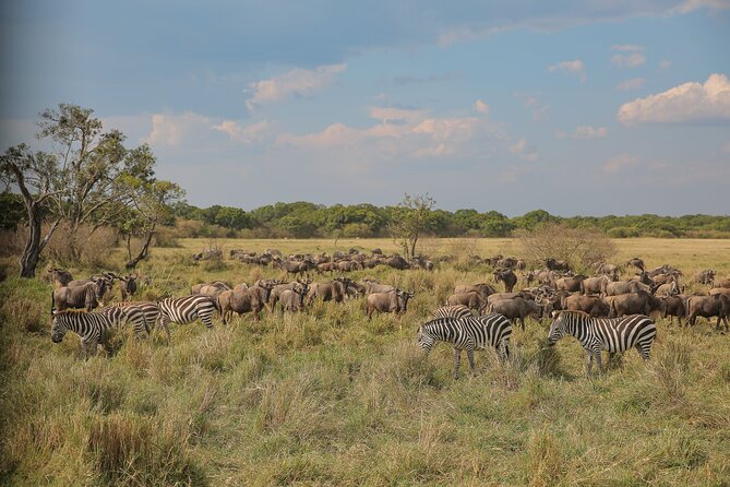 2 Days Tanzania Midrange Group Join Safari - Why this two-day route works from Arusha
