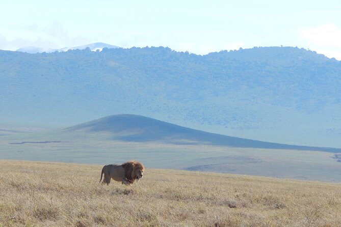 2 Days Tarangire and Ngorongoro Crater Tour - Karatu gives the trip a needed pause