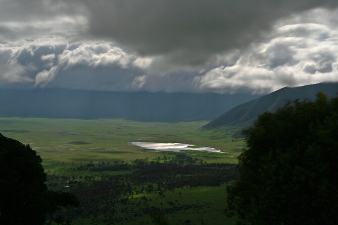 2 Days Tarangire and Ngorongoro Crater Tour - What the open-roof 4x4 means for you