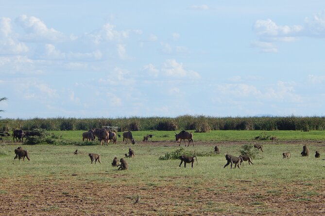 2 Days Tarangire and Ngorongoro Crater Tour - The human side of the trip