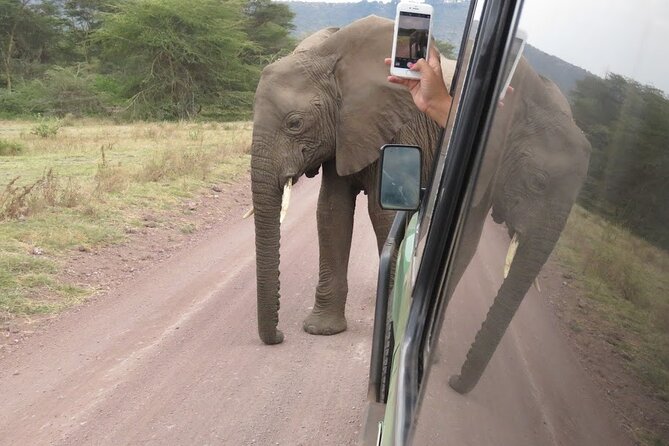 2 Days Tarangire and Ngorongoro Crater Tour - Tarangire: elephants, baobabs, and a long first day