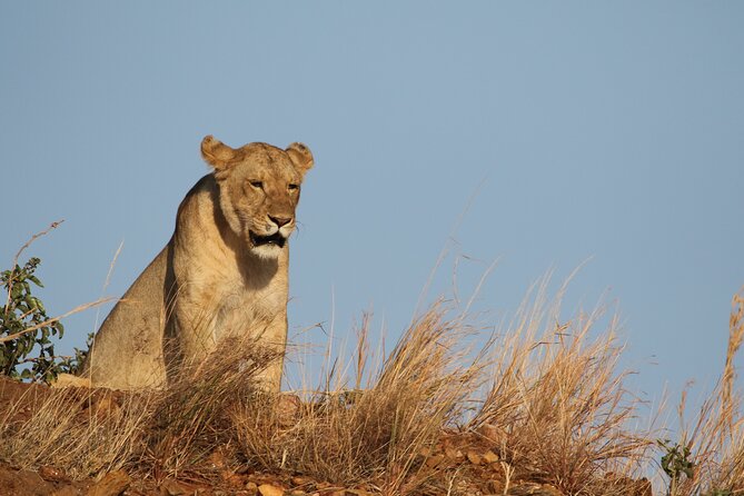 2 Days Tarangire and Ngorongoro Group Camping Safari - Overnight camping near Ngorongoro