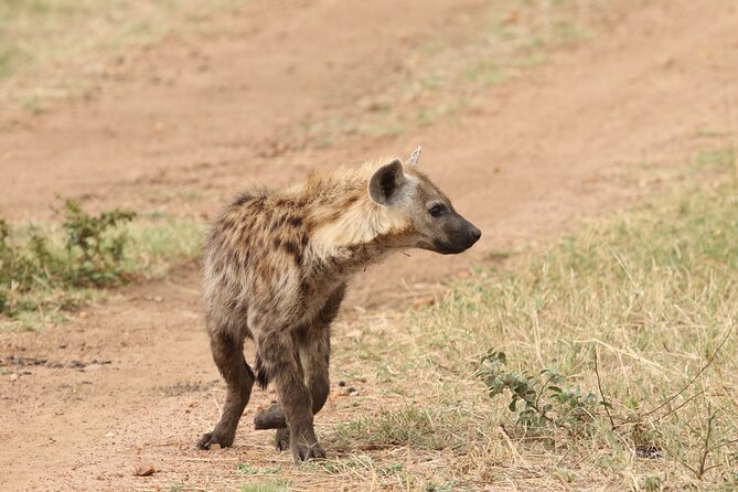 2 Days Tarangire and Ngorongoro Group Camping Safari - A picnic lunch inside the park