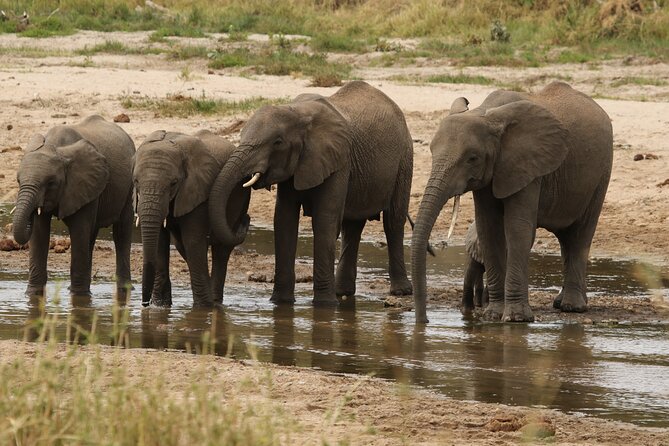 2 Days Tarangire and Ngorongoro Mid-Range Group Safari - Descending more than 600 meters into Ngorongoro