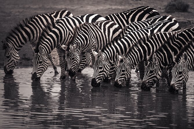 2 Days Tarangire and Ngorongoro Safari Tour in Tanzania - The early road to Ngorongoro Crater