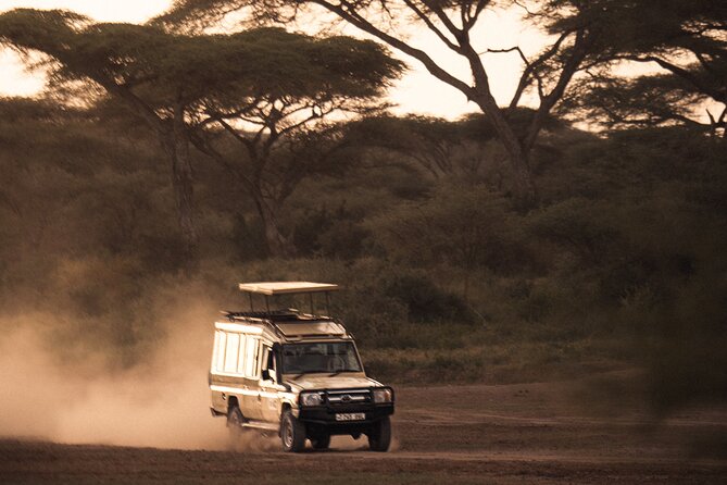 2 Days Tarangire and Ngorongoro Safari Tour in Tanzania - What makes Tarangire worth your first day