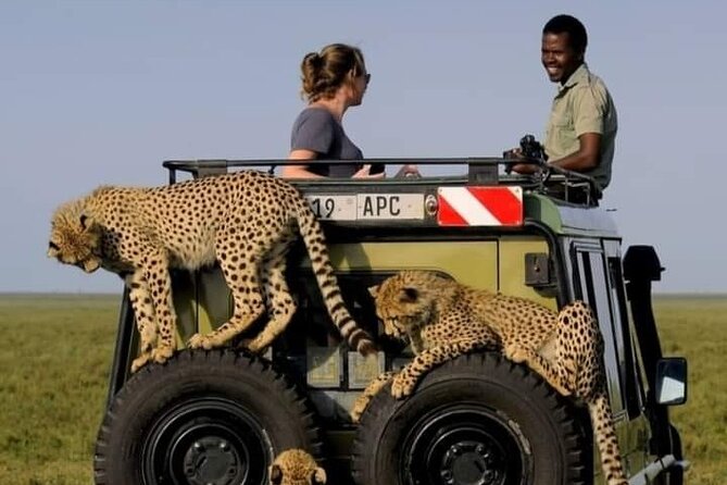 2 days Tarangire and Ngorongoro short safari - Should You Book the Two-Day Route?