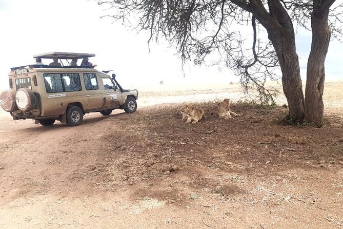 2 Days Tarangire & Ngorongoro Budget Safari Tour Tanzania - Food, lodging, and what budget really means here