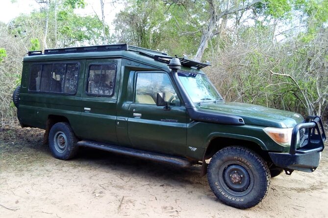 2 Days Tour From Zanzibar to Nyerere National Park (Selous GR) - The 4:00 or 5:00 AM hotel pickup